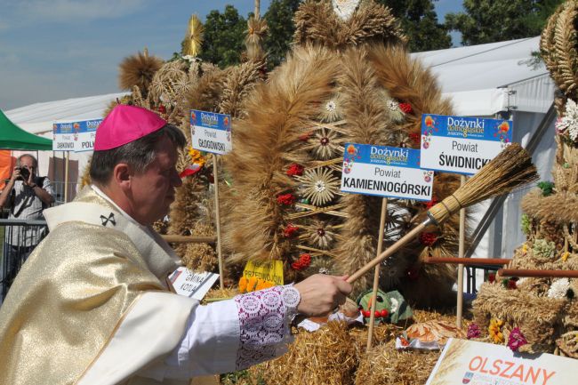 Dolnośląskie Święto Plonów