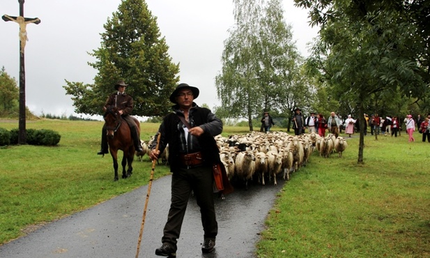 Piotr Kohut przeprowadził stado owiec i przeszedł przez Karpaty jak kiedyś Wołosi