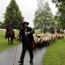 Piotr Kohut przeprowadził stado owiec i przeszedł przez Karpaty jak kiedyś Wołosi