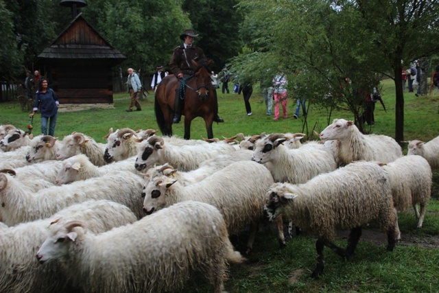 Finał Redyku Karpackiego w Rožnově pod Radhoštěm