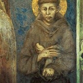 Św. Franciszek do odkrycia