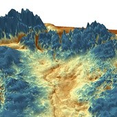 Uzyskany za pomocą badania radarowego obraz ukrytego pod lodami Grenlandii ogromnego kanionu. Przed 4 mln lat było to prawdopodobnie koryto największej rzeki na wyspie 