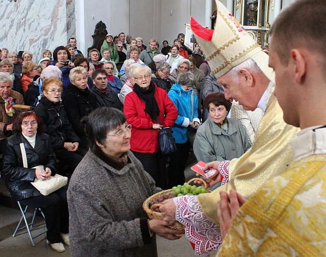 Pielgrzymka Wspólnot Żywego Różańca