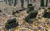Cmentarz żydowski w Świdwinie