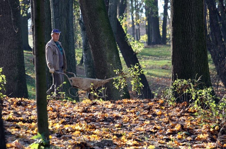 Ostatni dzień października był też ostatnim dniem pracy ekipy remontowej w Ogrodzie Saskim.