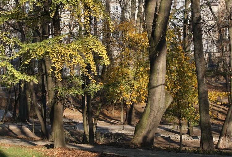 Ogród Saski po remoncie