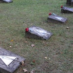 Cmentarz z pepeszą w Bornem Sulinowie