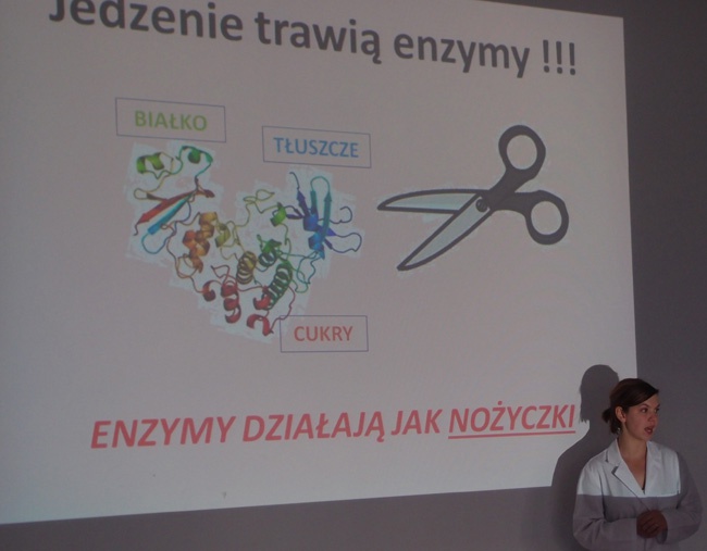 Edu Budzik w Krakowie
