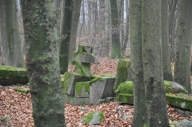 Groby Bismarcków w Warcinie