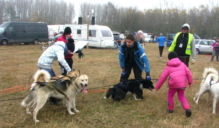 Wyścig psich zaprzęgów w Mikołowie