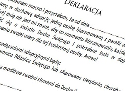 Deklaracja adopcji