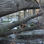 Tak było w grudniu 2013 roku, gdy silne wiatry szalały nad południową Polską