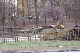 Wichura nad Lubelszczyzną