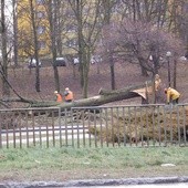 Wichura nad Lubelszczyzną