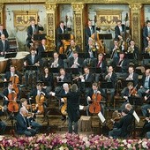 Koncert odbywa się co roku w Złotej Sali Wiedeńskiego Towarzystwa Muzycznego