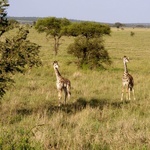 Tanzania siostry Anafridy