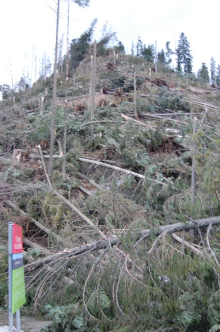 Zakopane po halnym