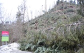 Zakopane po halnym