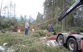 Zakopane po halnym