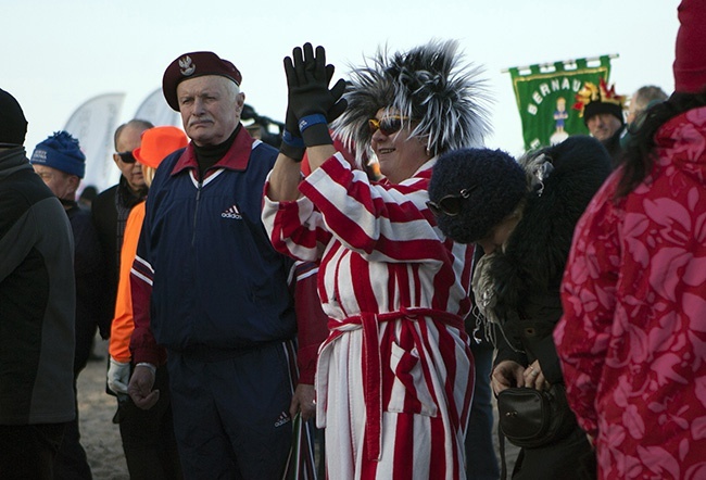 Morsy w Kołobrzegu