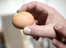 Jak zrobić gumowe jajko?