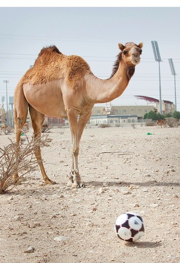 Pierwsze Mistrzostwa Świata w Piłce Nożnej organizowane na Bliskim Wschodzie – w Katarze w 2022 roku – mają przyćmić wszystkie dotychczasowe imprezy sportowe