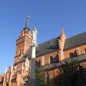 Tarnowska katedra