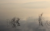 2. W Galilei, nad Jordanem, na Górze Tabor i na pustyni