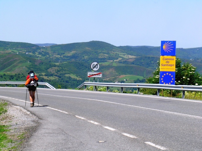 Camino Aragońskie i Francuskie