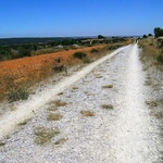 Camino Aragońskie i Francuskie