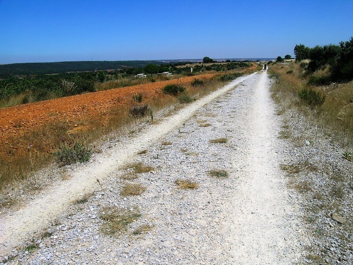 Camino Aragońskie i Francuskie