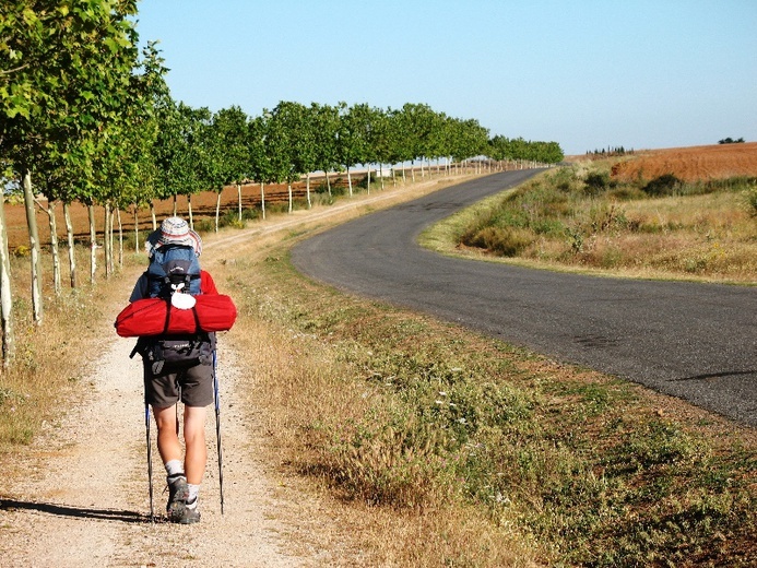 Camino Aragońskie i Francuskie