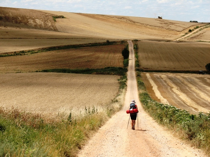 Camino Aragońskie i Francuskie