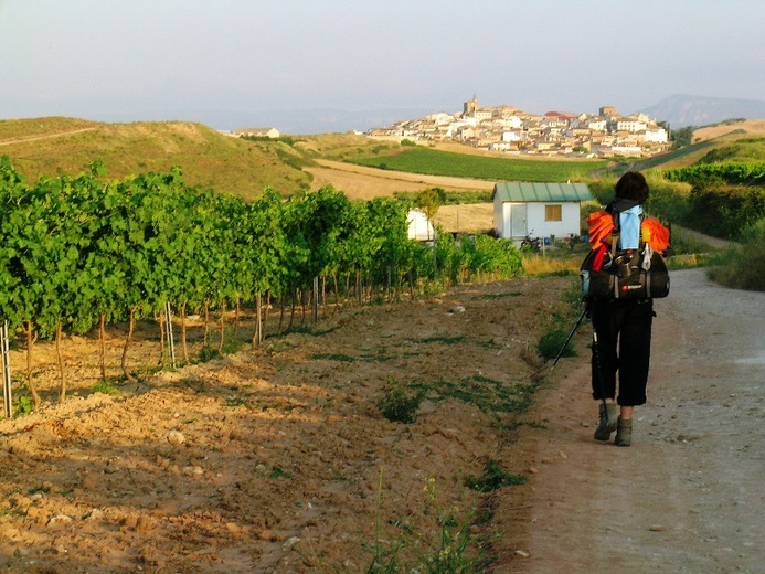 Camino Aragońskie i Francuskie