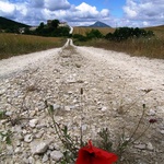 Camino Aragońskie i Francuskie