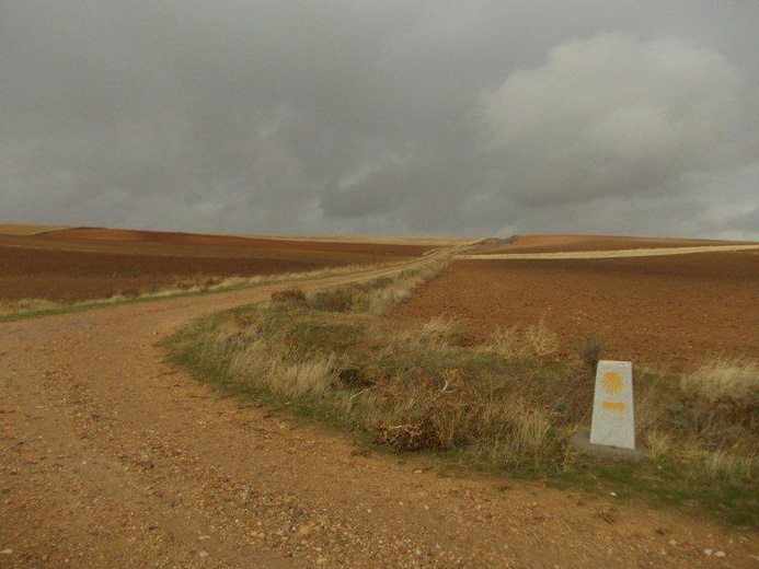 Camino Fonseca