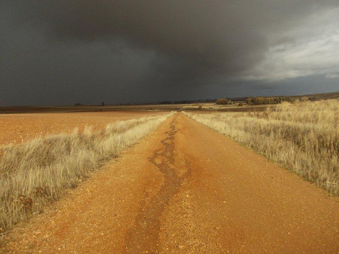 Camino Fonseca