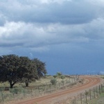 Camino La Plata