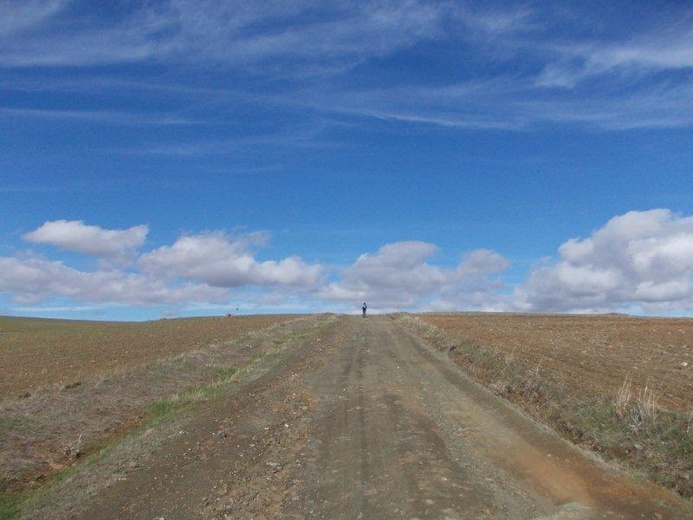 Camino La Plata