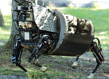  Robotyczny muł potrafi sam biegać i orientować się w terenie. W przyszłości roboty będą komunikowały się ze sobą  i same decydowały o wielu sferach naszego życia