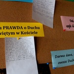 Drugi raban w Ciężkowicach