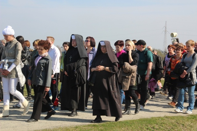 Droga Krzyżowa w KL Auschwitz-Birkenau