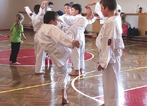  Zajęcia w Oyama Karate Tarnobrzeg