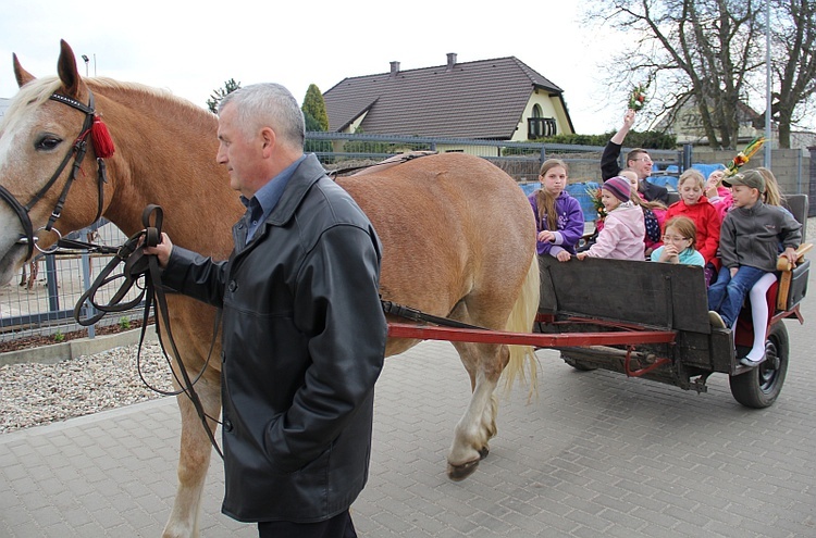 Światowy Dzień Młodzieży w Głogowie