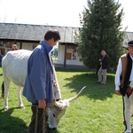 Święto Bacowskie w Ludźmierzu