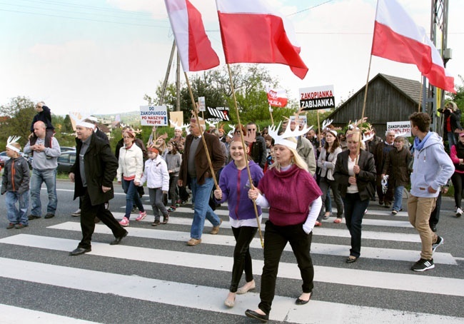 Jelenie protestują na zakopiance