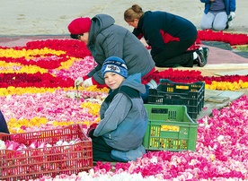 Mieszkańcy gminy układają kompozycję kwiatową całymi rodzinami