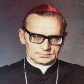 Bp Jan Wosiński był biskupem pomocniczym w Płocku w latach 1961-1996, w latach 1962-1964 kierował diecezją płocką jako administrator apostolski