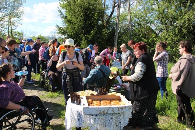 Pielgrzymka "Ogień Lolek" - 2014 