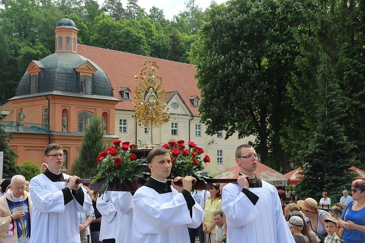 Odpust Nawiedzenia NMP w Świętej Lipce